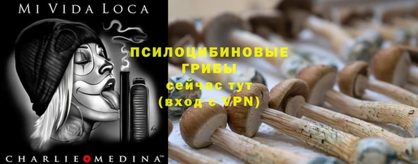 ГАЛЛЮЦИНОГЕННЫЕ ГРИБЫ Бугульма