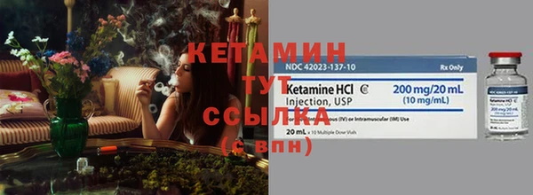 крисы Бронницы