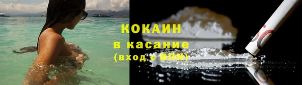 2c-b Бородино