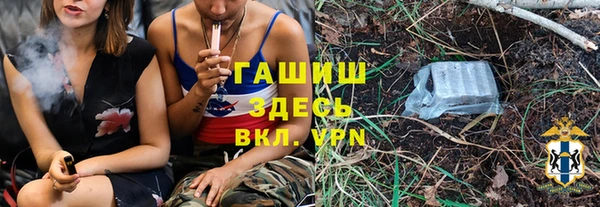 2c-b Бородино