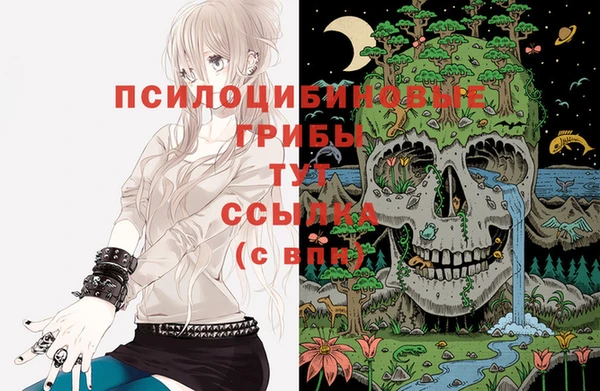 2c-b Бородино