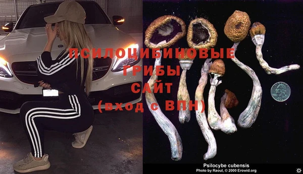 2c-b Бородино
