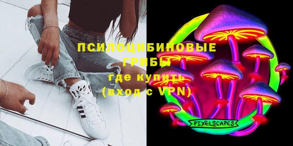 ГАЛЛЮЦИНОГЕННЫЕ ГРИБЫ Бугульма