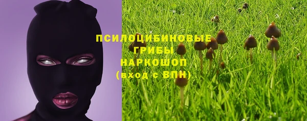крисы Бронницы