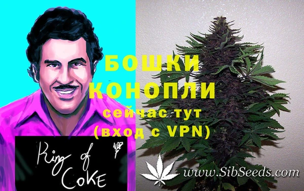 2c-b Бородино