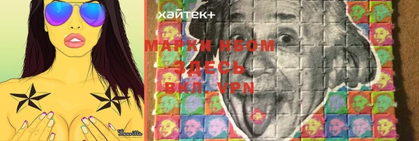крисы Бронницы